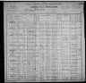 1900 Census Brewer