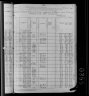 1880 Census Adam Olinger Hosehold